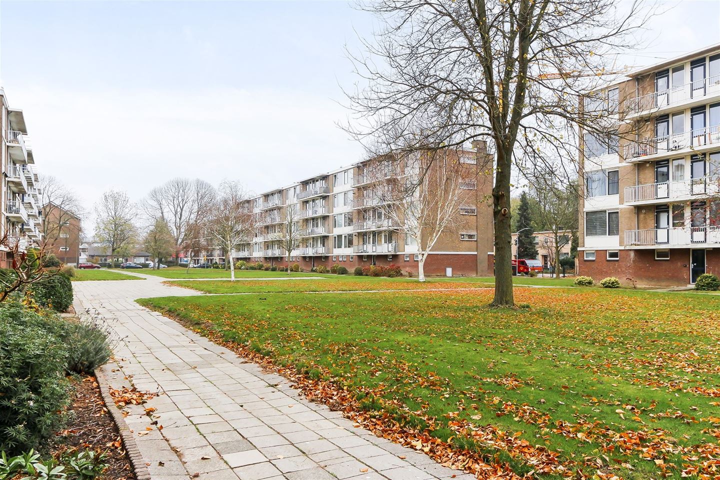 Te Huur 3 kamer Appartement Henri Polakstraat In Dordrecht