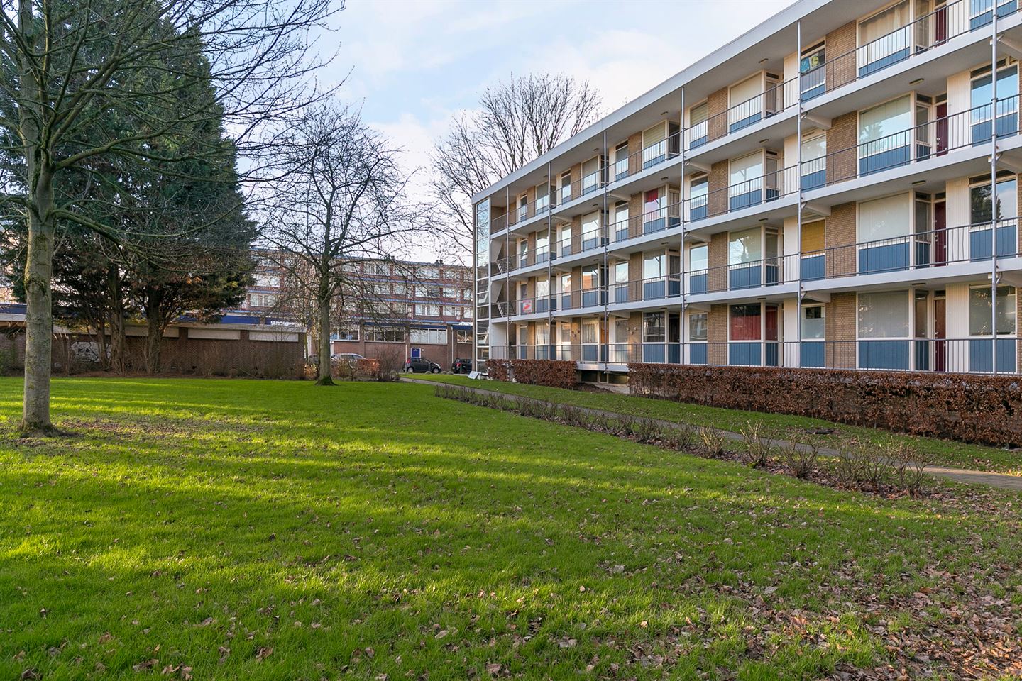 Te Huur 2 Kamer Appartement Ogierssingel In Rotterdam
