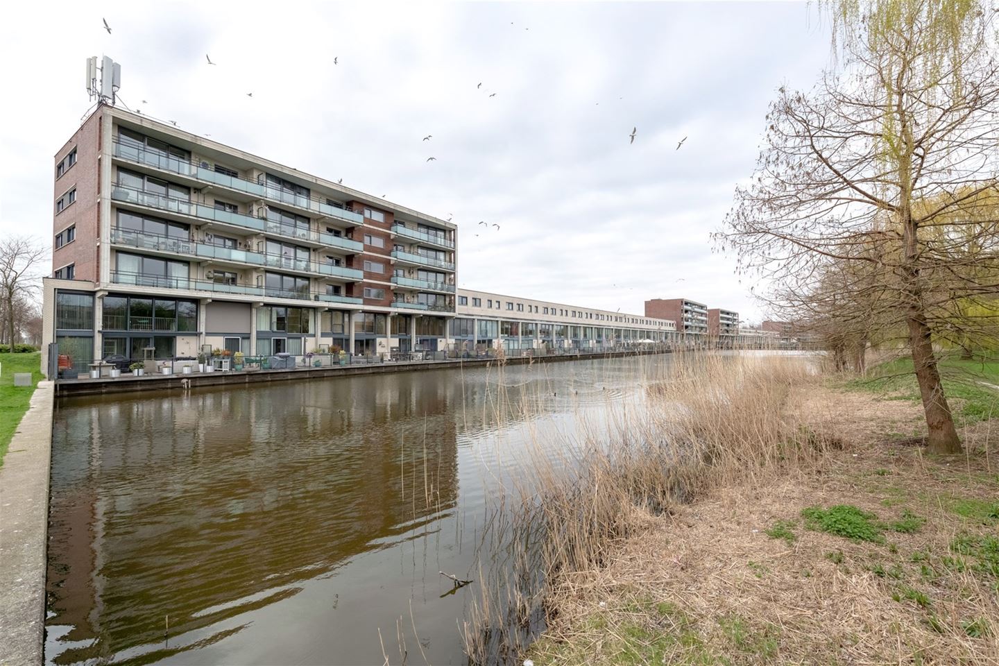 Te Huur 3 Kamer Appartement Govert Flinckstraat In Almere