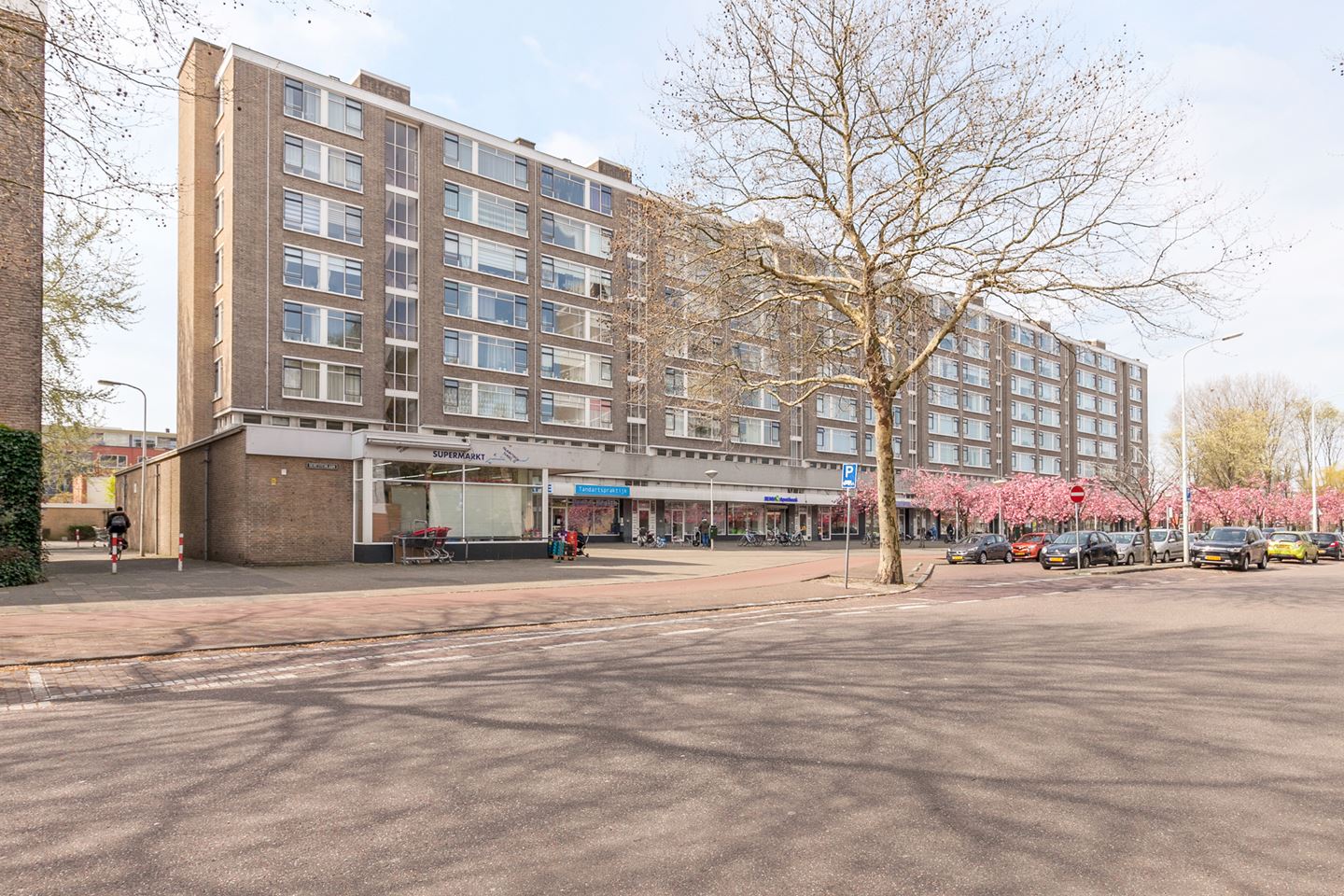 Te Huur 3 Kamer Appartement Beresteinlaan In Den Haag