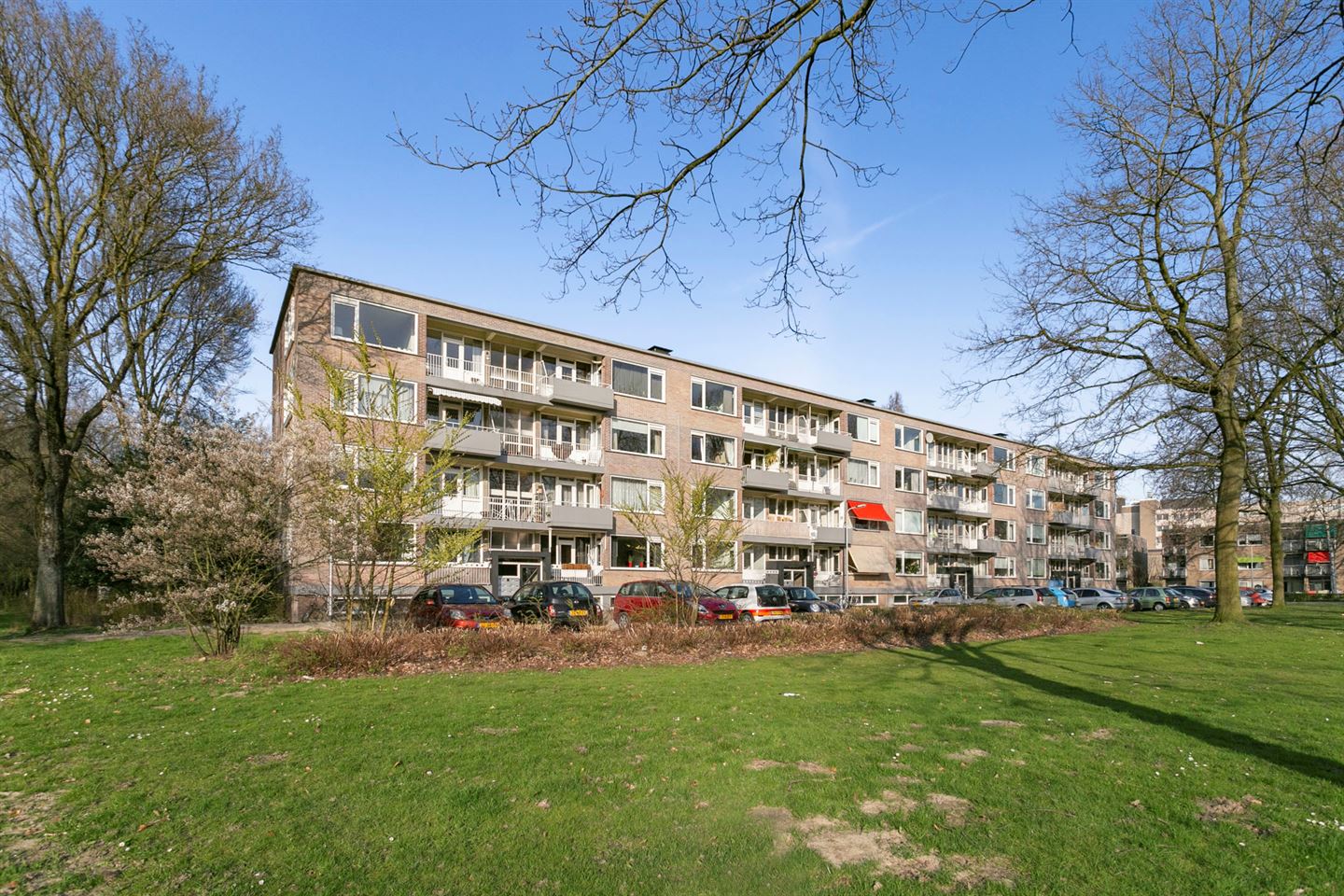 Te Huur 3 Kamer Appartement Europalaan In Tilburg